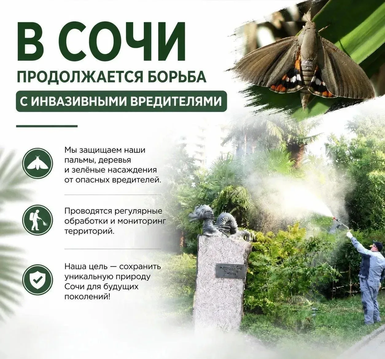 Поможем городу вместе! ✨

🌴 В рамках борьбы с инвазивными вредителями и предупреждения их распростр