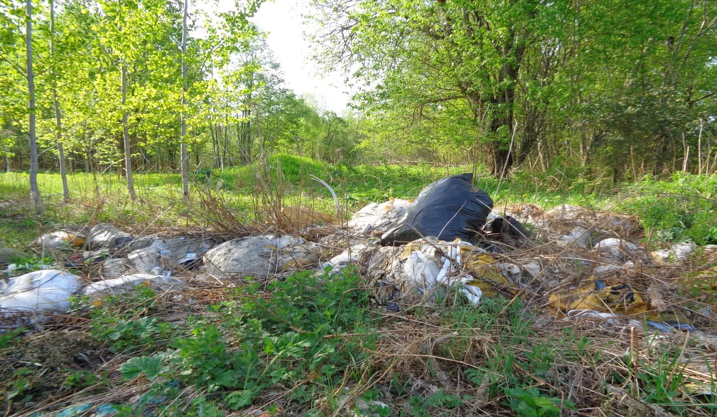 В Весьегонском округе у юрлица почти 40 га пашни заросло бурьяном и захламлено коммунал...