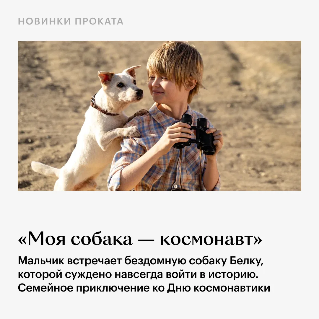 Красивейшее аниме «Ателье колдовских колпаков» и финальный сезон «Пацанов» ждут нас дома, черная ком
