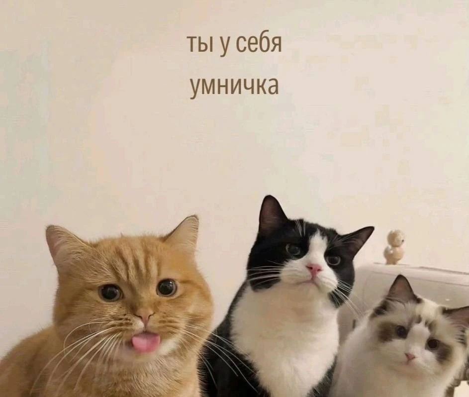Это нормально…

⚪️отказывать людям если вам этого не хочется
⚪️уставать без видимой причины 
⚪️ошиба