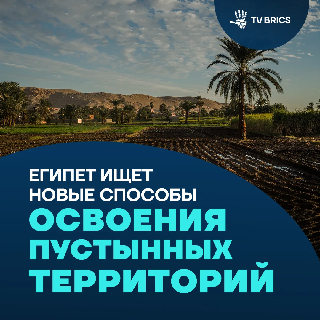 В Египте ищут способы экономнее использовать воду в сельском хозяйстве. Центр исследова...