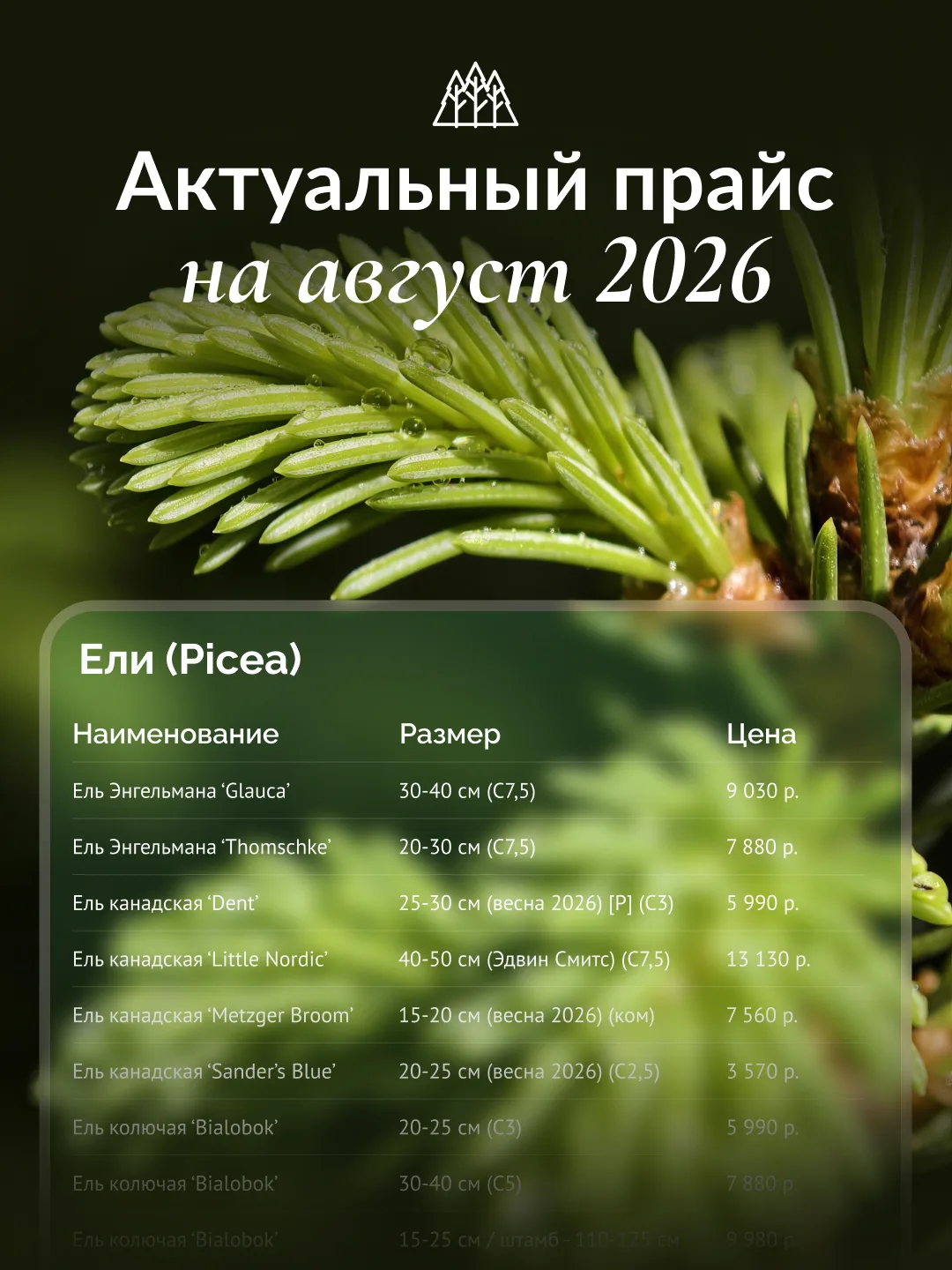 Актуальный прайс на август 2026