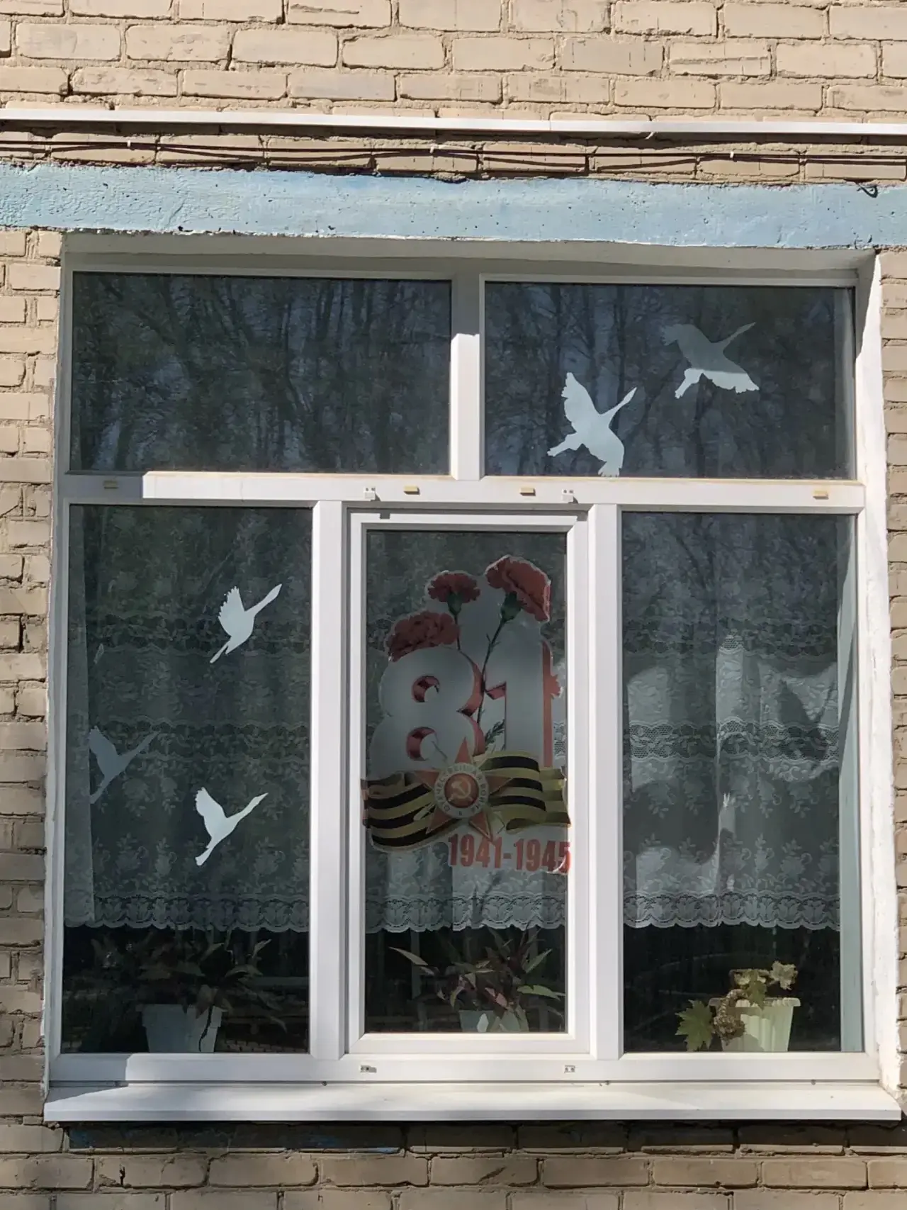 Окна, которые помнят... 🕊️