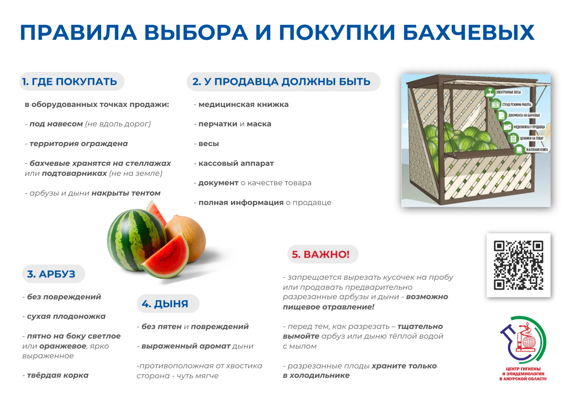 🍉 Как правильно выбирать арбузы и дыни: памятка
