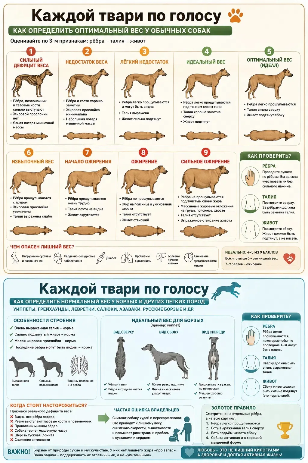 Недавно я наткнулась на ветеринарную шкалу оценки упитанности животных. 
И поняла одну интересную ве