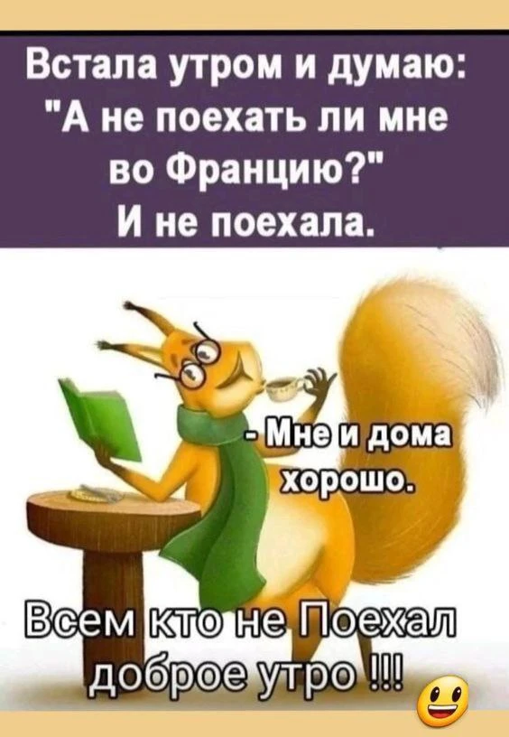 #юмор #доброеутро