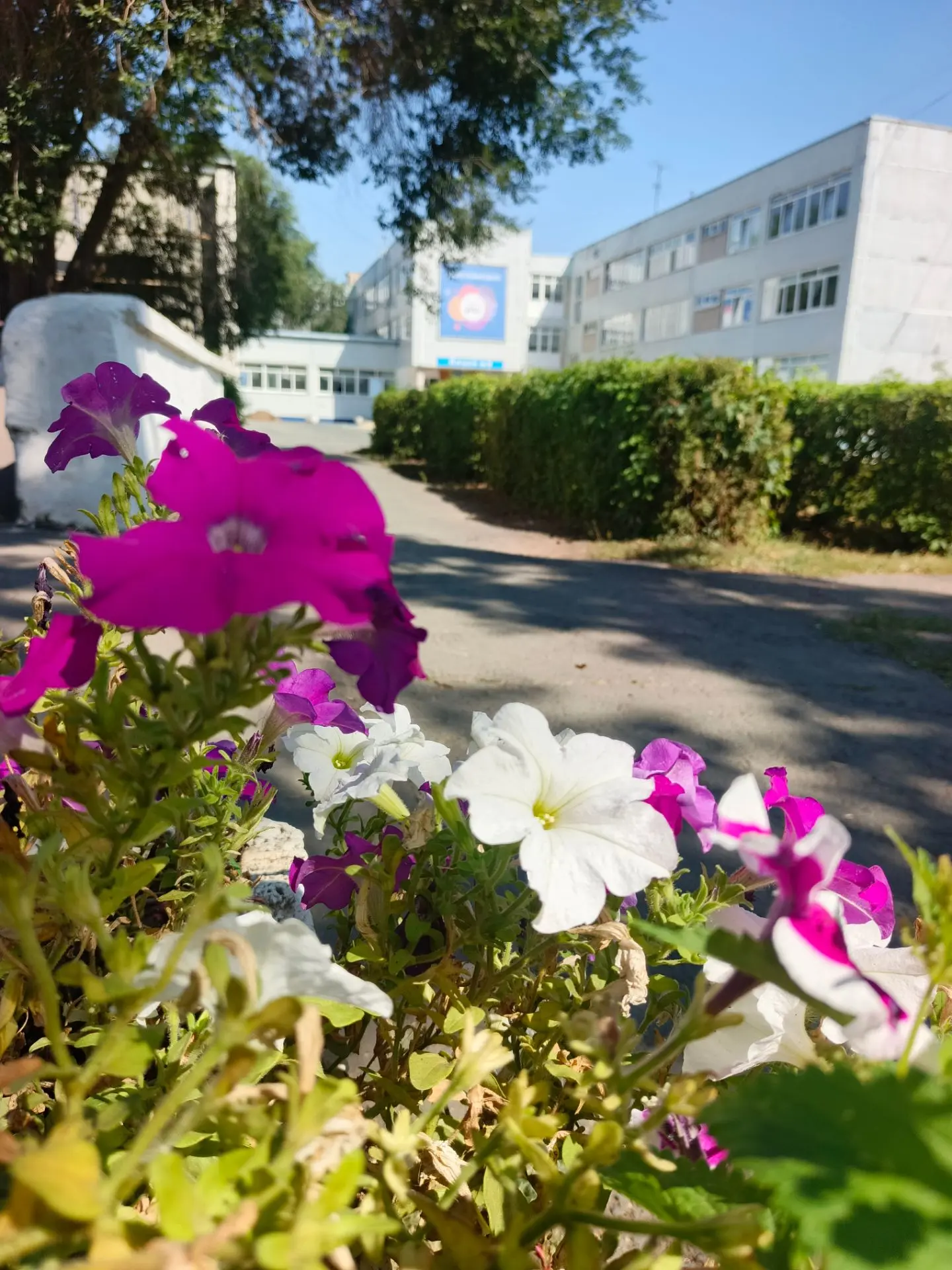 С добрым утром Лицей 9!