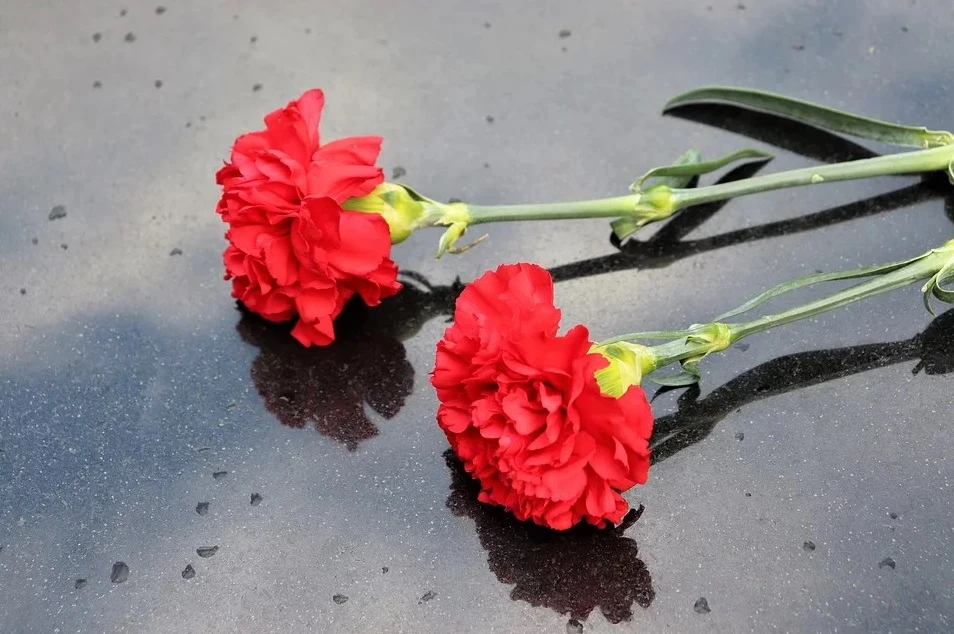Уважаемые родители, ученики и педагоги! 🌷
8 мая в нашей школе состоится акция «Цветок Победы!», при