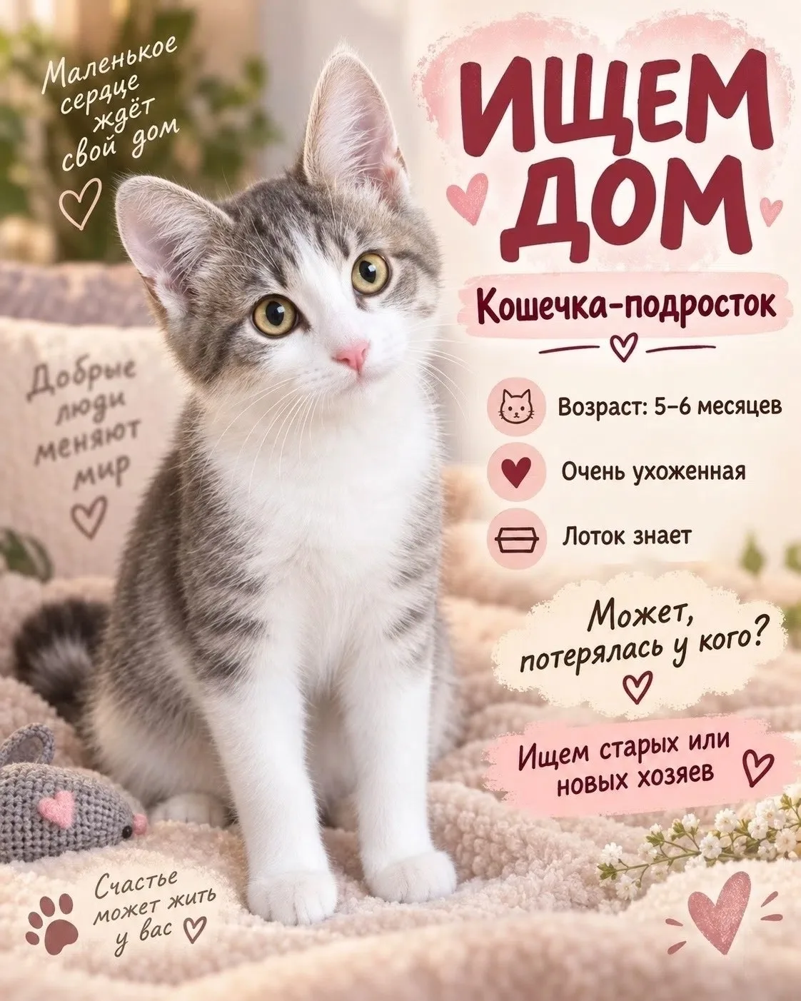 Друзья, на улице нашли чудесную кошечку — ей примерно 5–6 месяцев. Она невероятно краси...