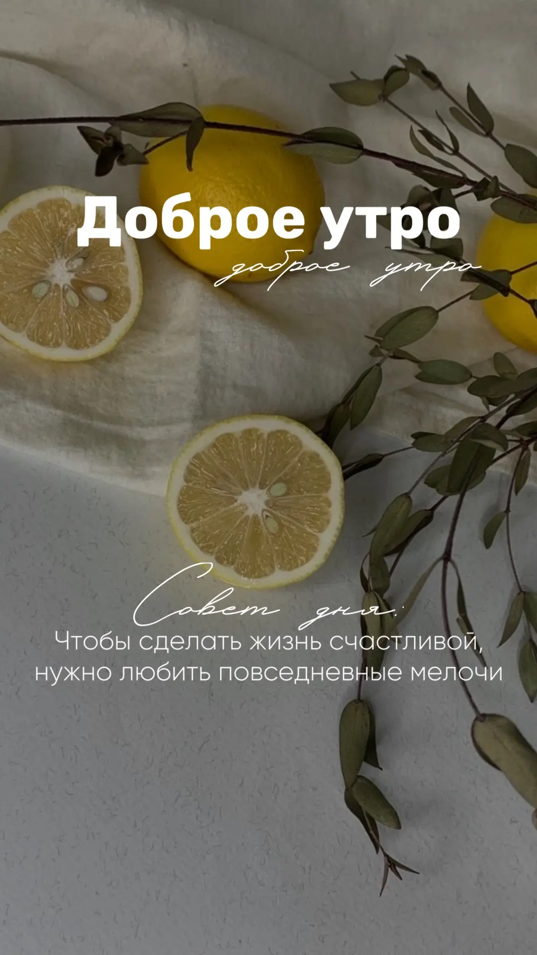 ★ БЬЮТИ КОНТЕНТ В MAX