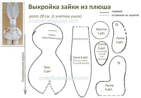 Зайка