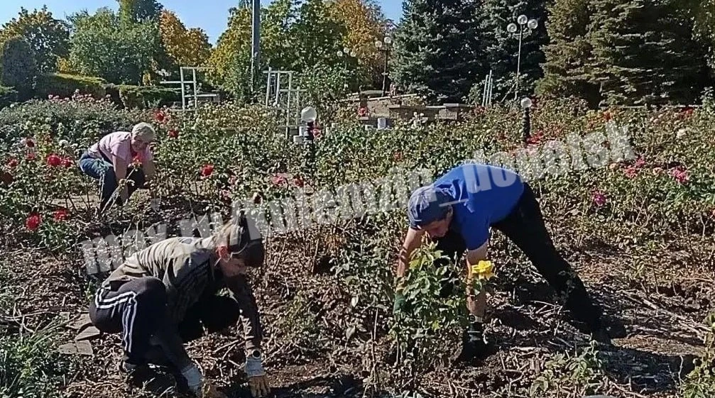 В парке им. Щербакова высадили сотни новых роз 🌹
