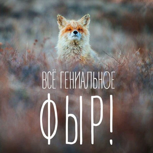 Что выбираем сегодня? Фыр или Фыр-фыр?