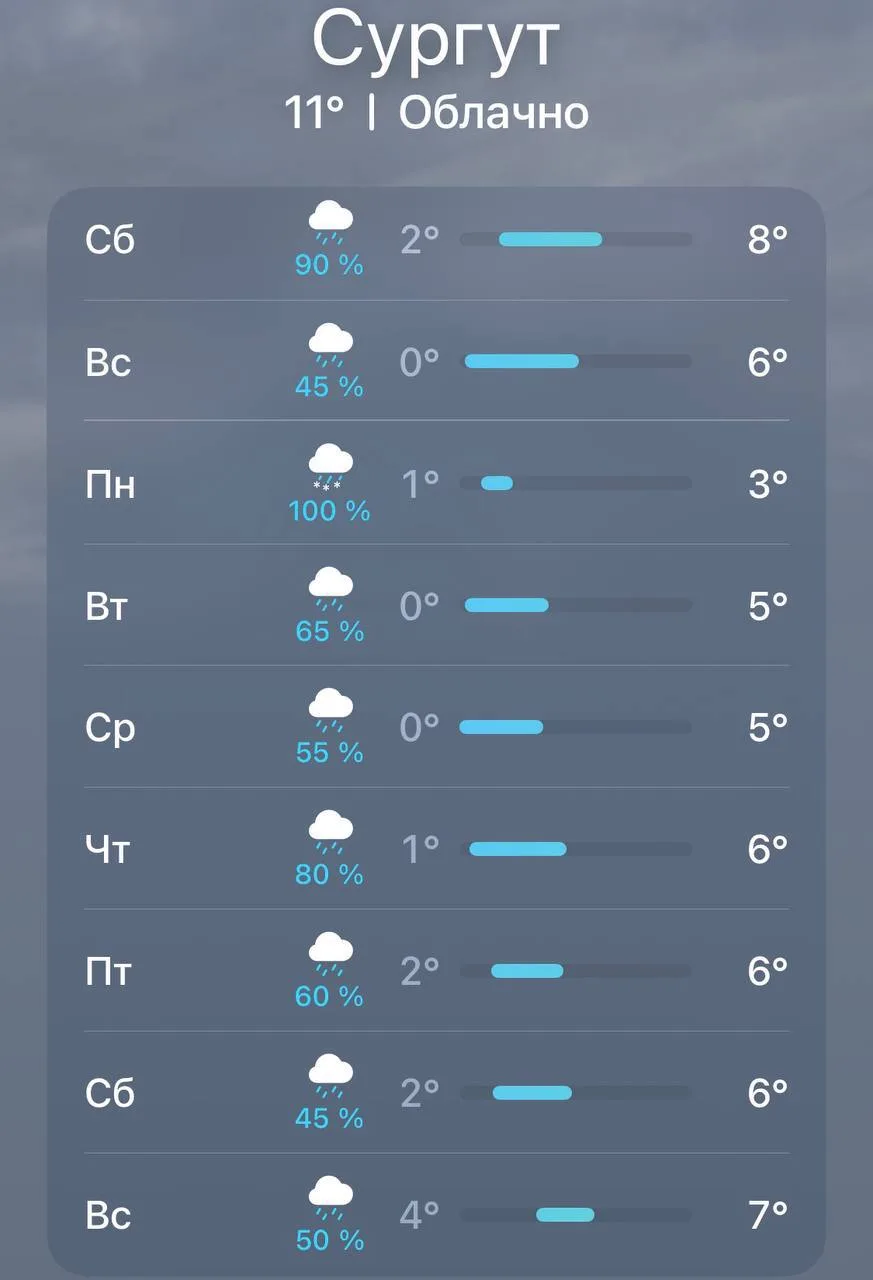 🌧 В Сургуте на неделе прогнозируют мокрый снег