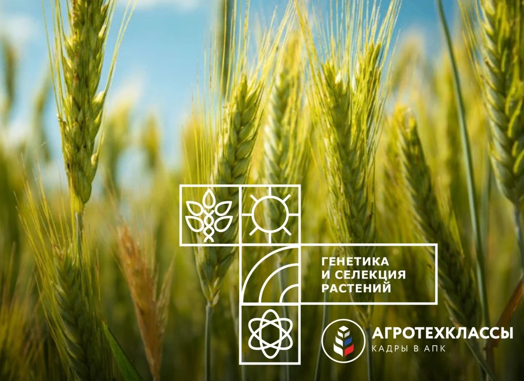 С 30 сентября по 2 октября 2026 года в Ростове‑на‑Дону пройдёт межрегиональная программ...
