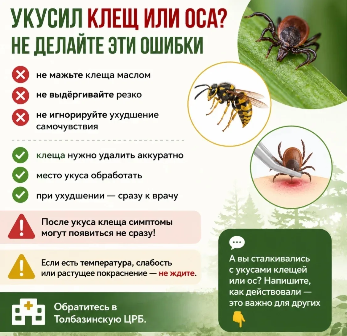 🦟⚠️ КЛЕЩ ИЛИ ОСА — А ВЫ УВЕРЕНЫ, ЧТО ДЕЛАЕТЕ ВСЁ ПРАВИЛЬНО?

Каждое лето из-за ошибок после укусов 