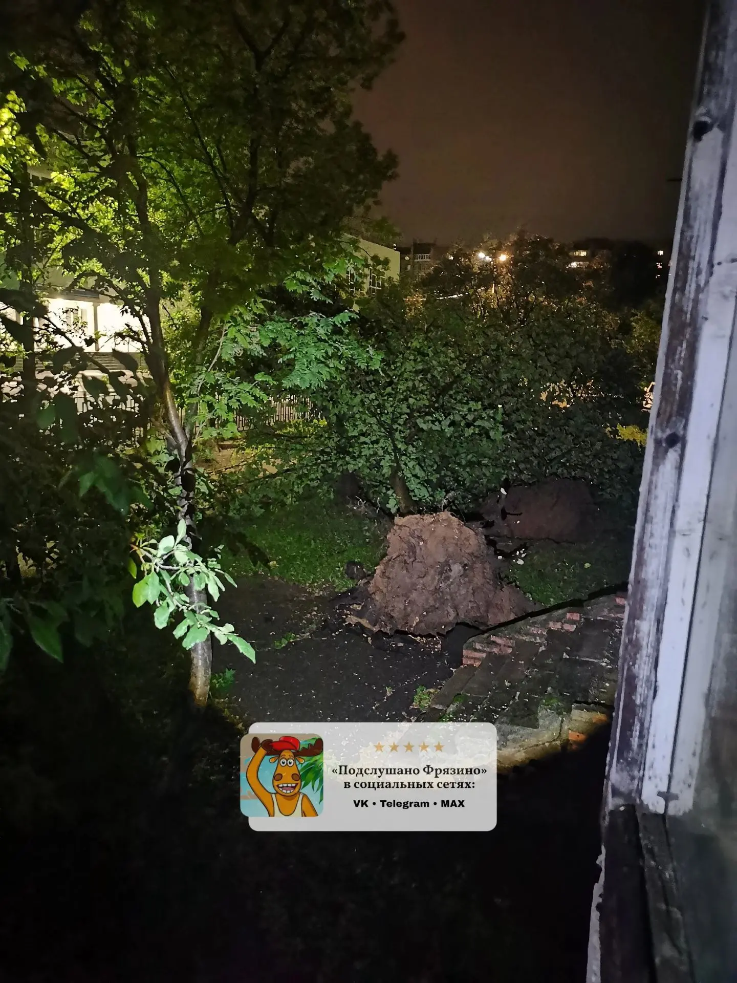 Упало дерево возле 7-ой школы