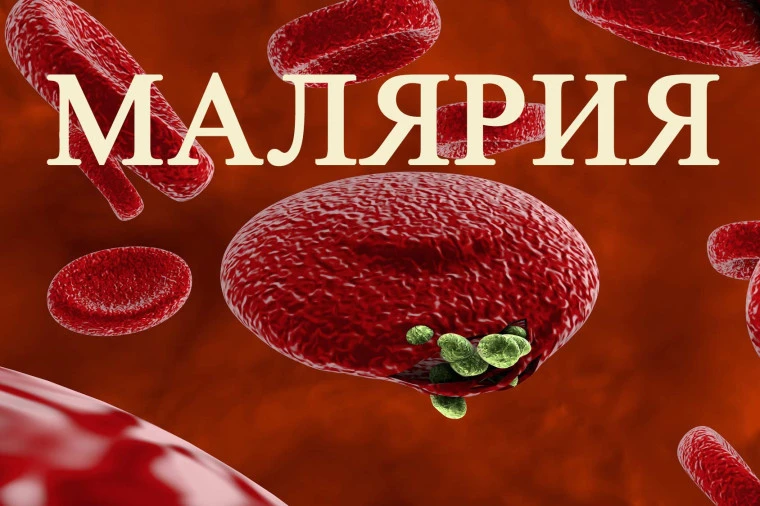 https://vk.ru/wall-212600216_7115