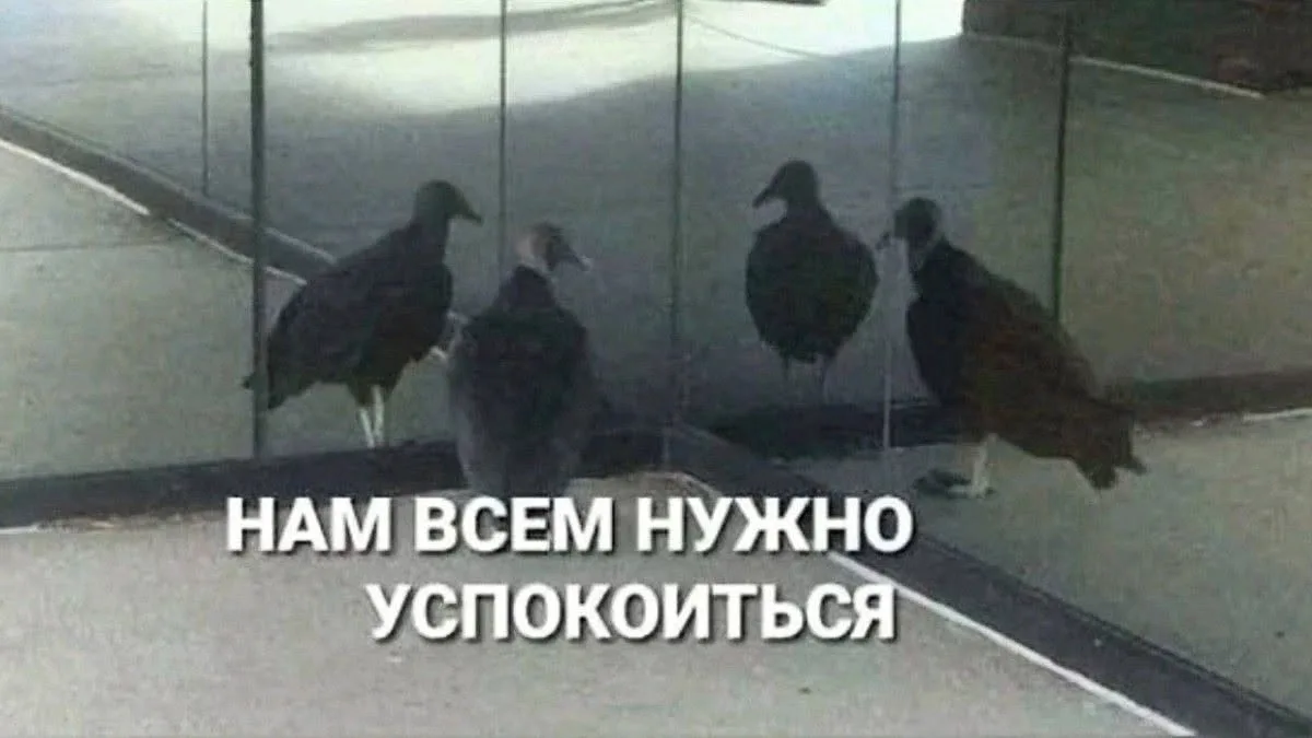 Гороскоп на сегодня: