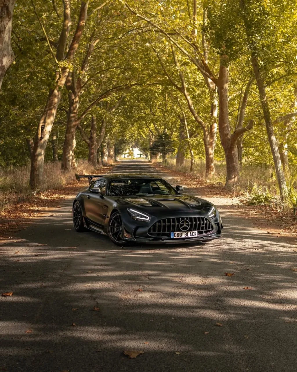AMG GT Black Series специально для вас.