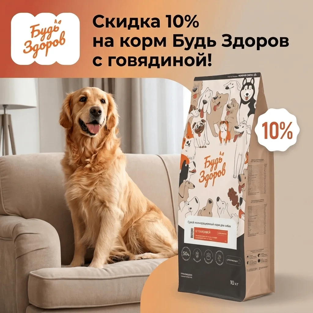 Дорогие друзья