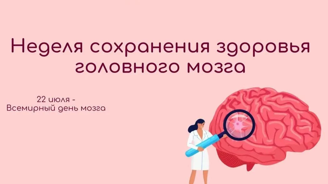 🧠Головной мозг – это основной орган, который управляет центральной нервной системой. Е...