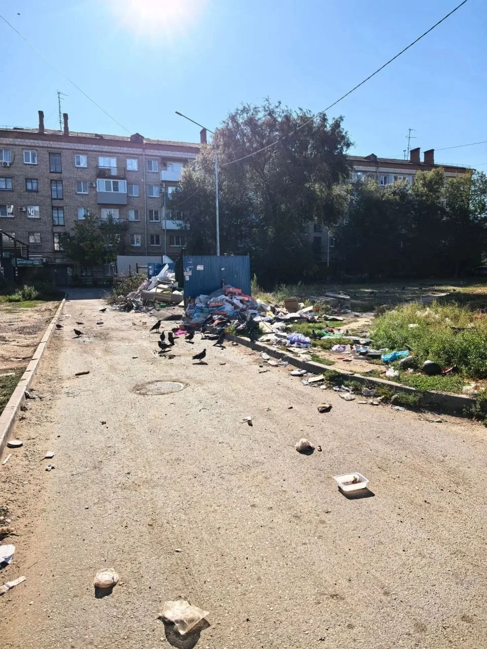 Что творится во дворах по адресу улица Ерёменко 130 и Депутатская 25. Управляющая компа...