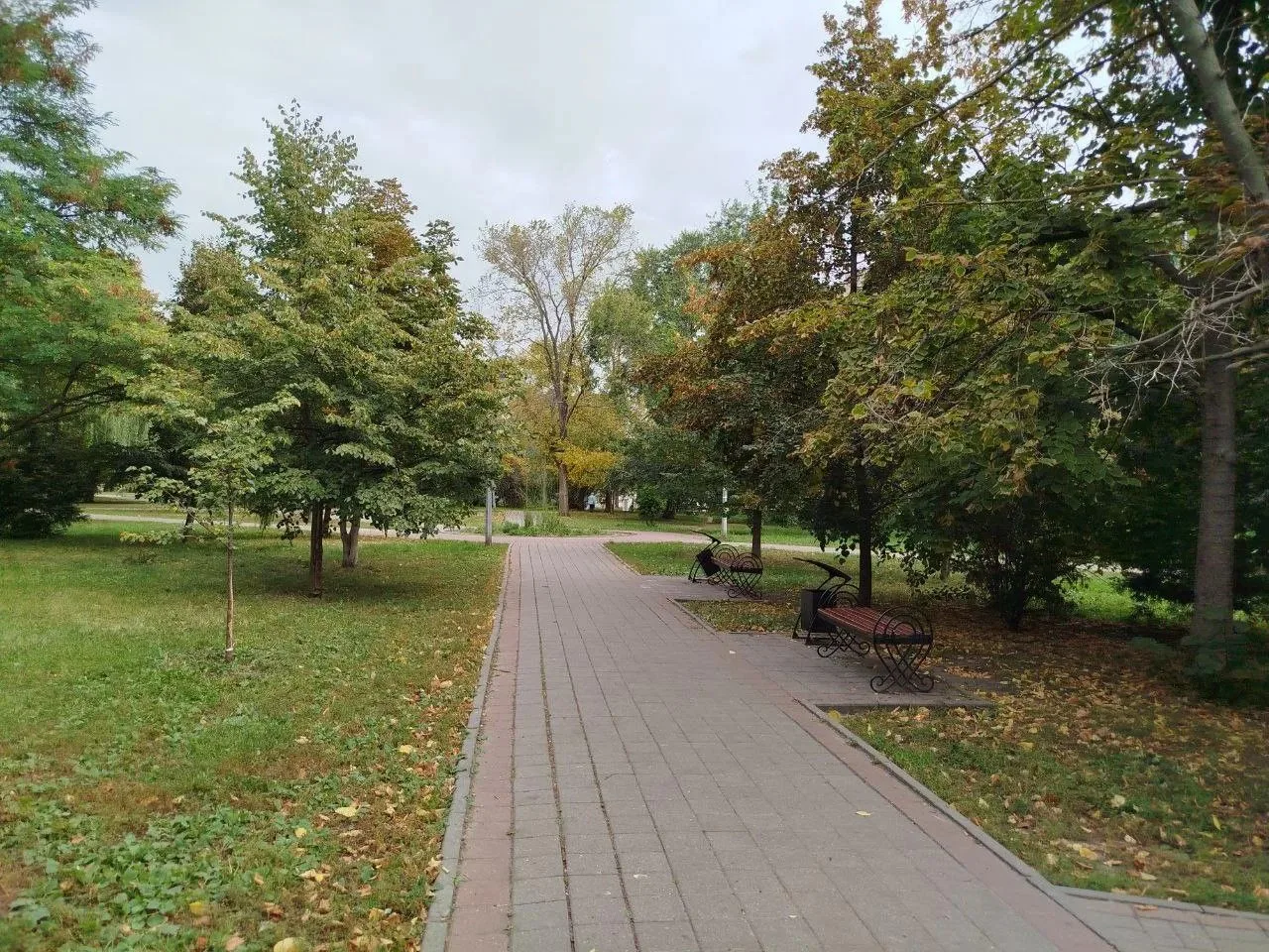 🧹В Тамбове стартовал осенний месячник по благоустройству.