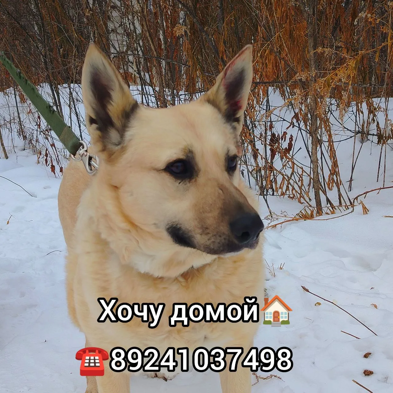 Хочу домой 🏠