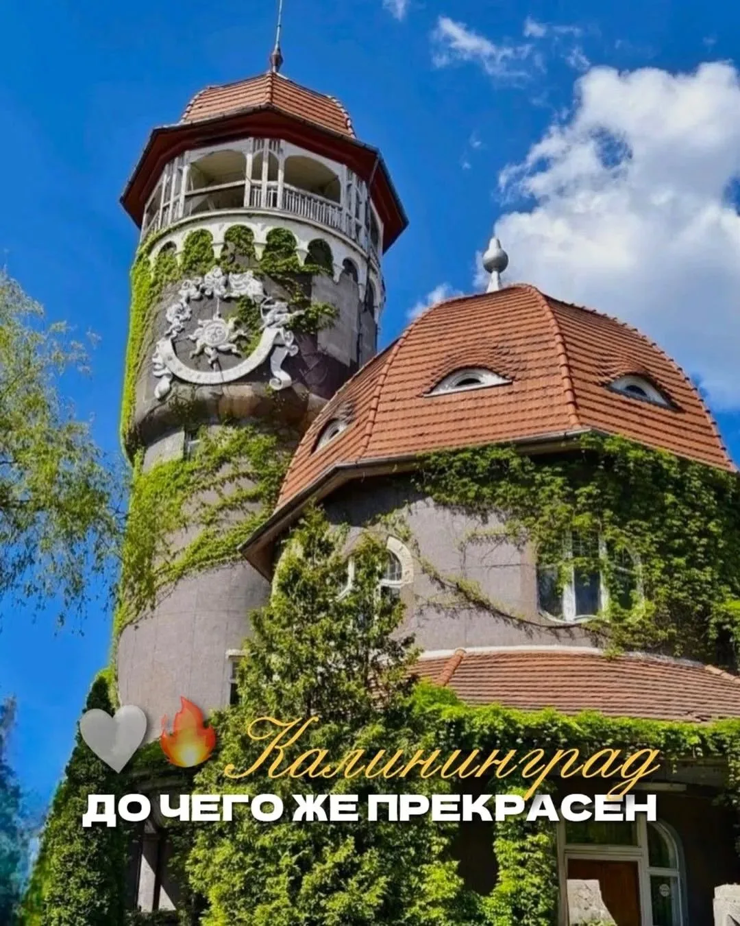 🥨Крошка тур в Калининград🏰

📅 10.07 на 🌙 4 ночи

Что обязательно посмотреть в самом Калининграде