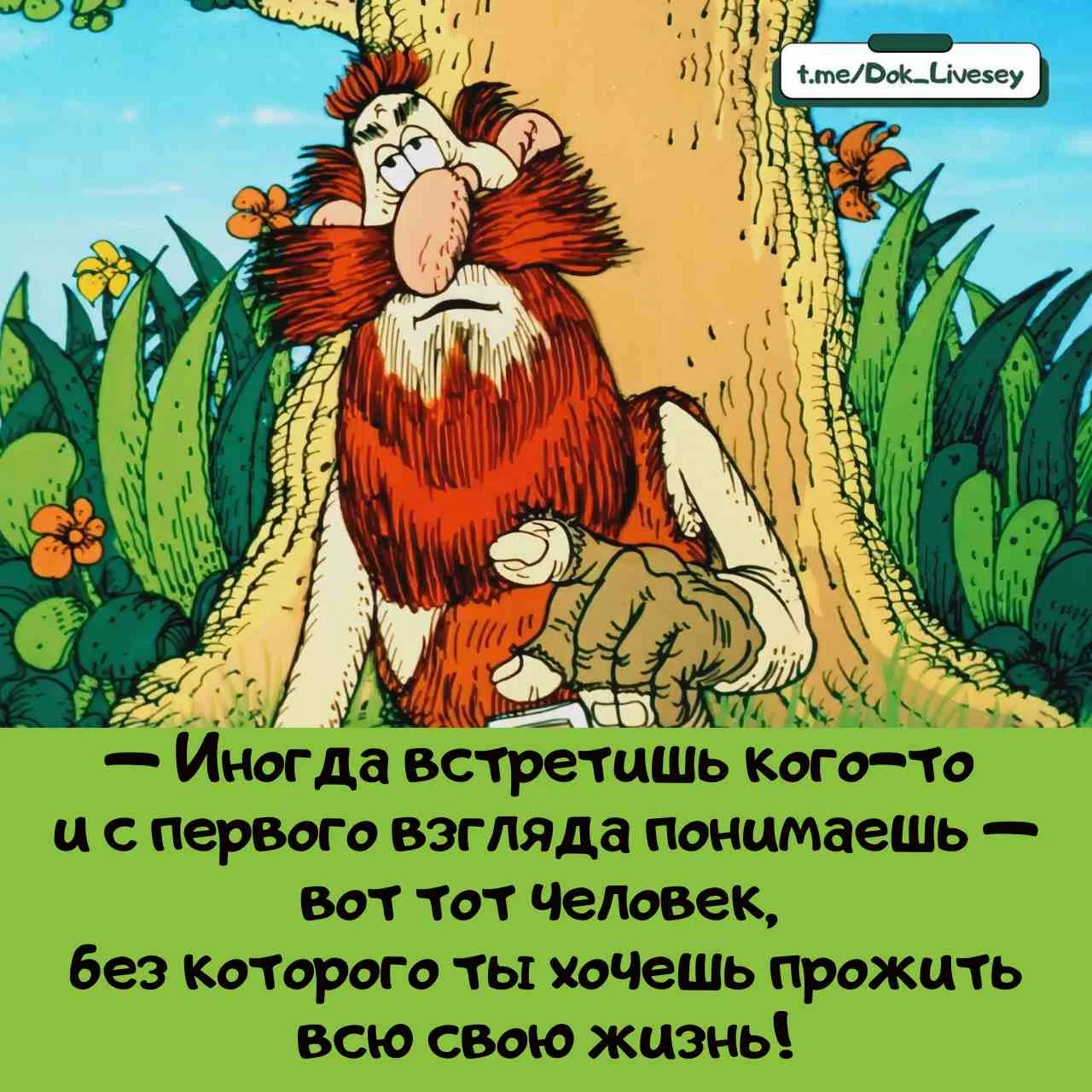 Актуально для жителя необитаемого острова!🫵