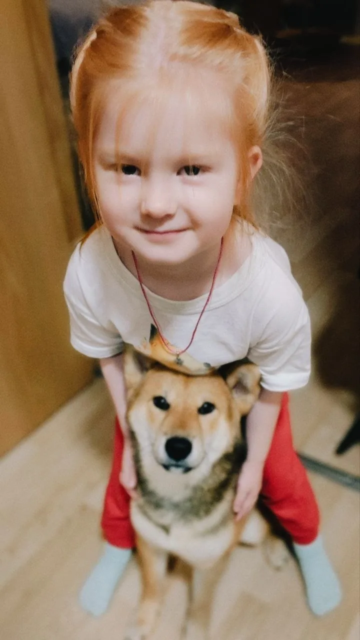 🐶🍰  Йоши полгода!