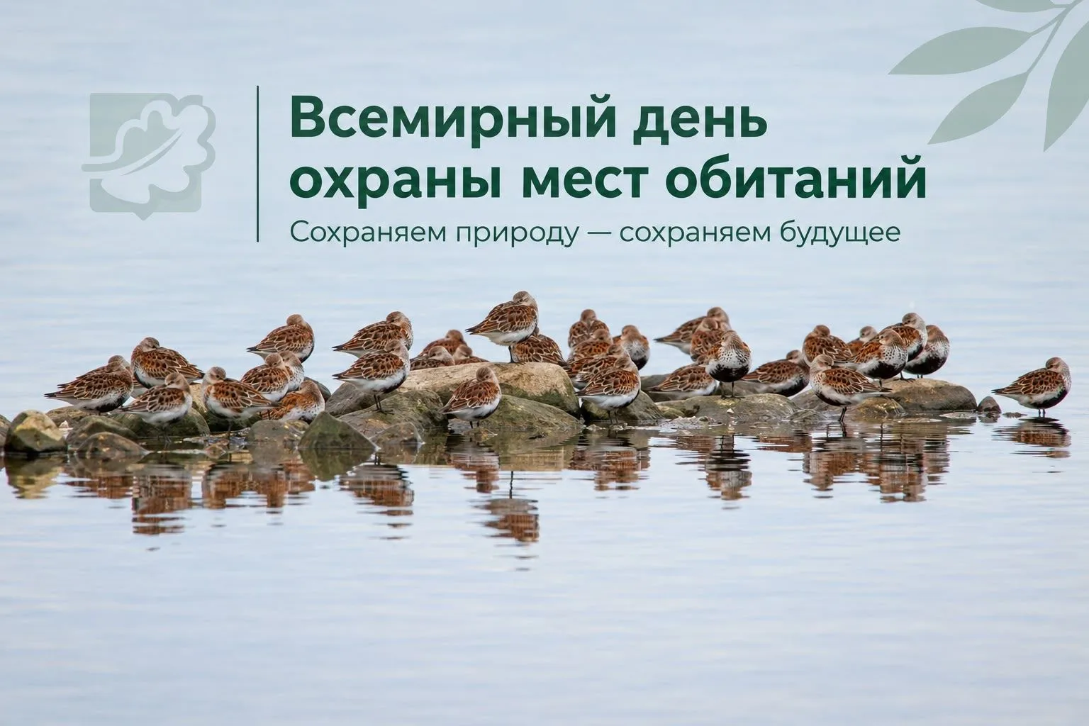 🦆Всемирный день охраны мест обитаний