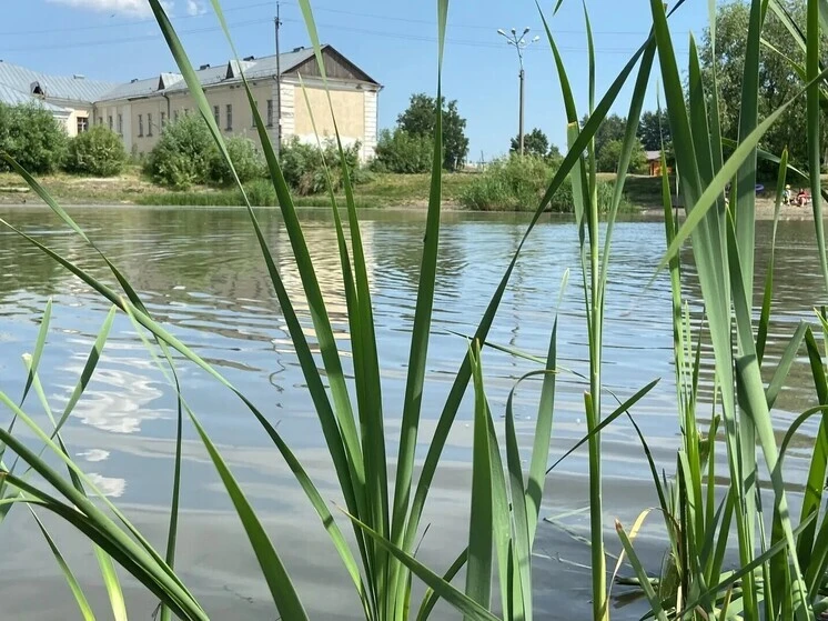 🚨 В Бийске мужчина сломал позвоночник после прыжка в озеро

В Бийске молодой мужчина получил тяжелу