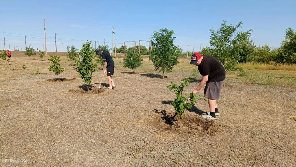 🌳 Въезд в Калитвенскую встречает порядком: как подростки подарили деревьям второе дыхание