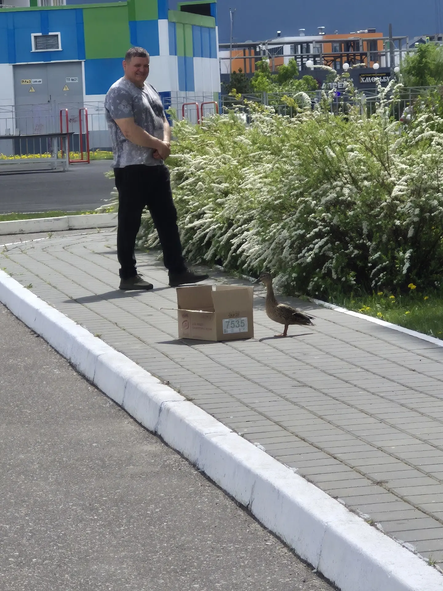 🦆🦆🦆Неожиданной спасательной операцией завершилась майская прогулка - экскурсия с детьми детского сад