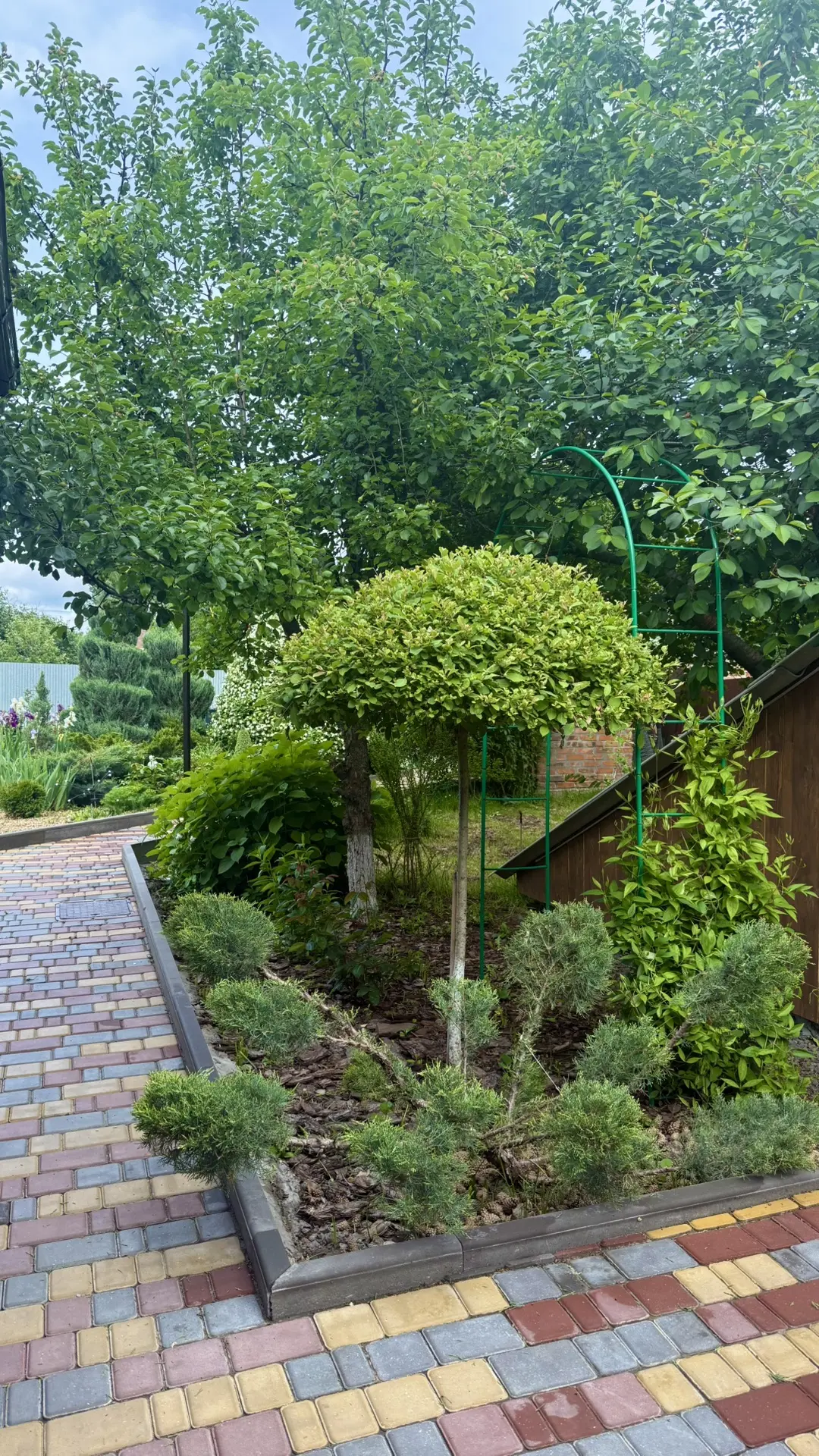 И у нас Ваши растения! 🌲🌳❤️