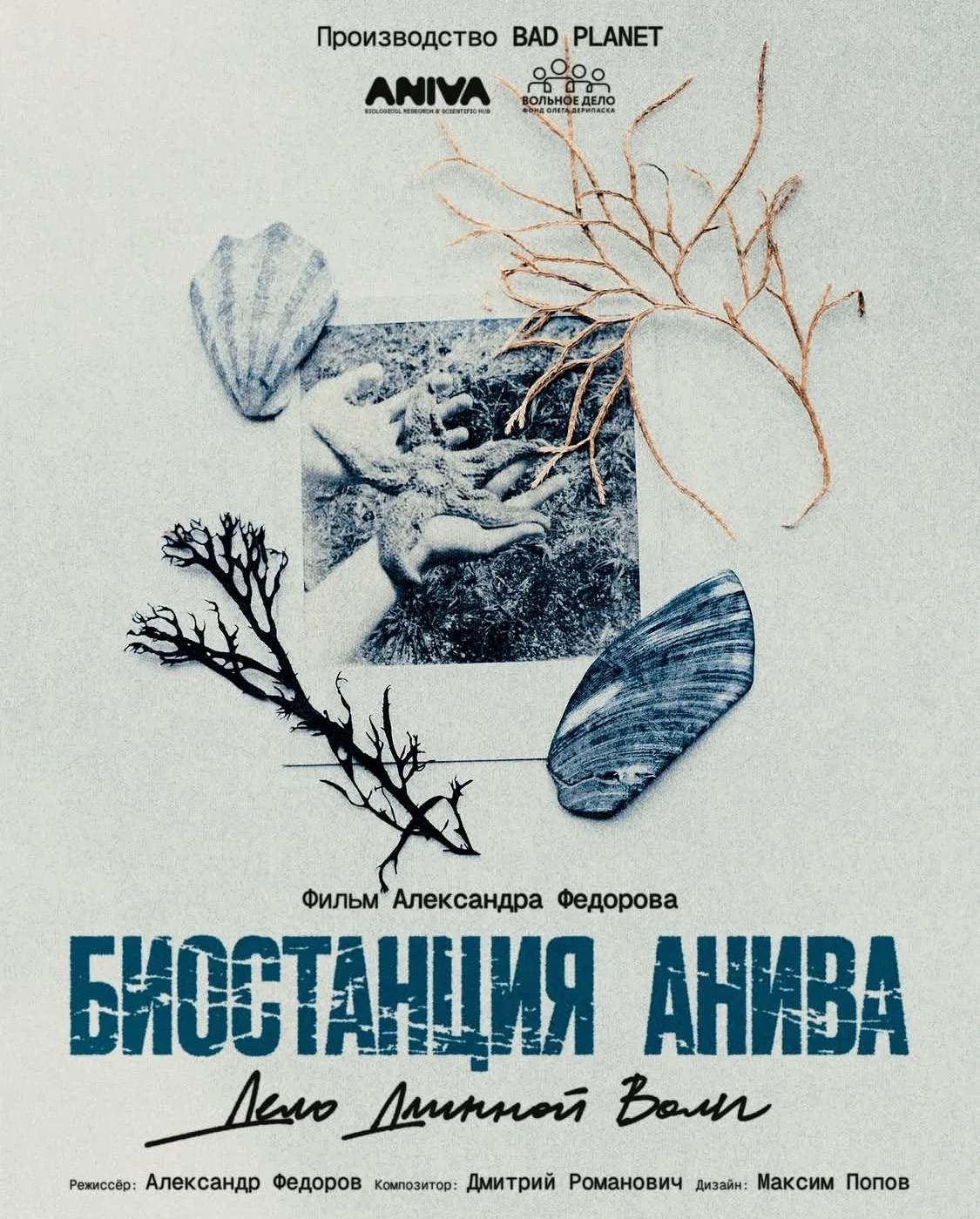 Фильм о биостанции «Анива» покорил зрителей кинофестиваля в Москве 

Картину режиссёра Александра Фе