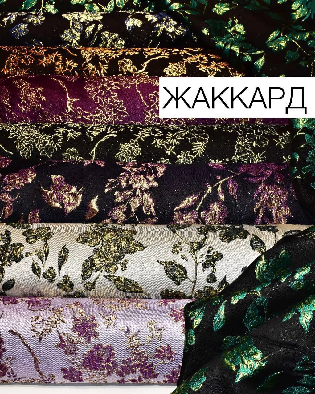 ⭐️ЖАККАРД⭐️