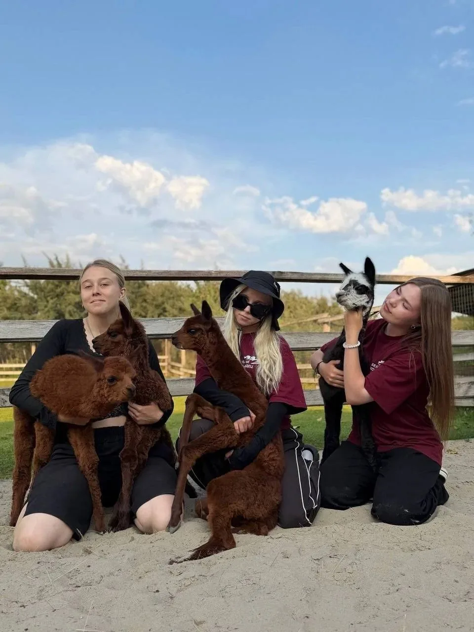 😍 В парке альпак настоящий бейби-бум