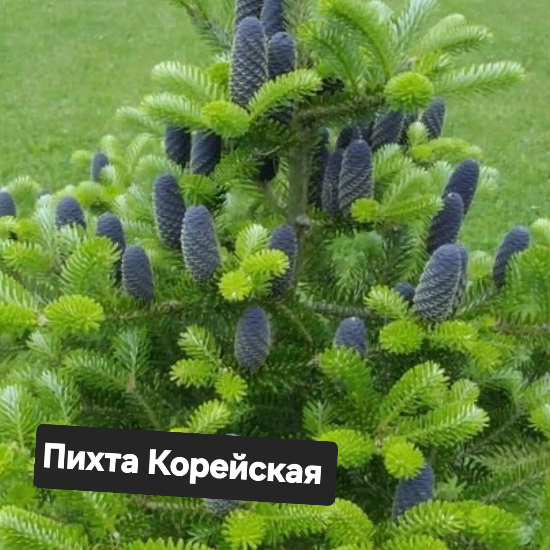 Друзья,  доброе утро ☀️