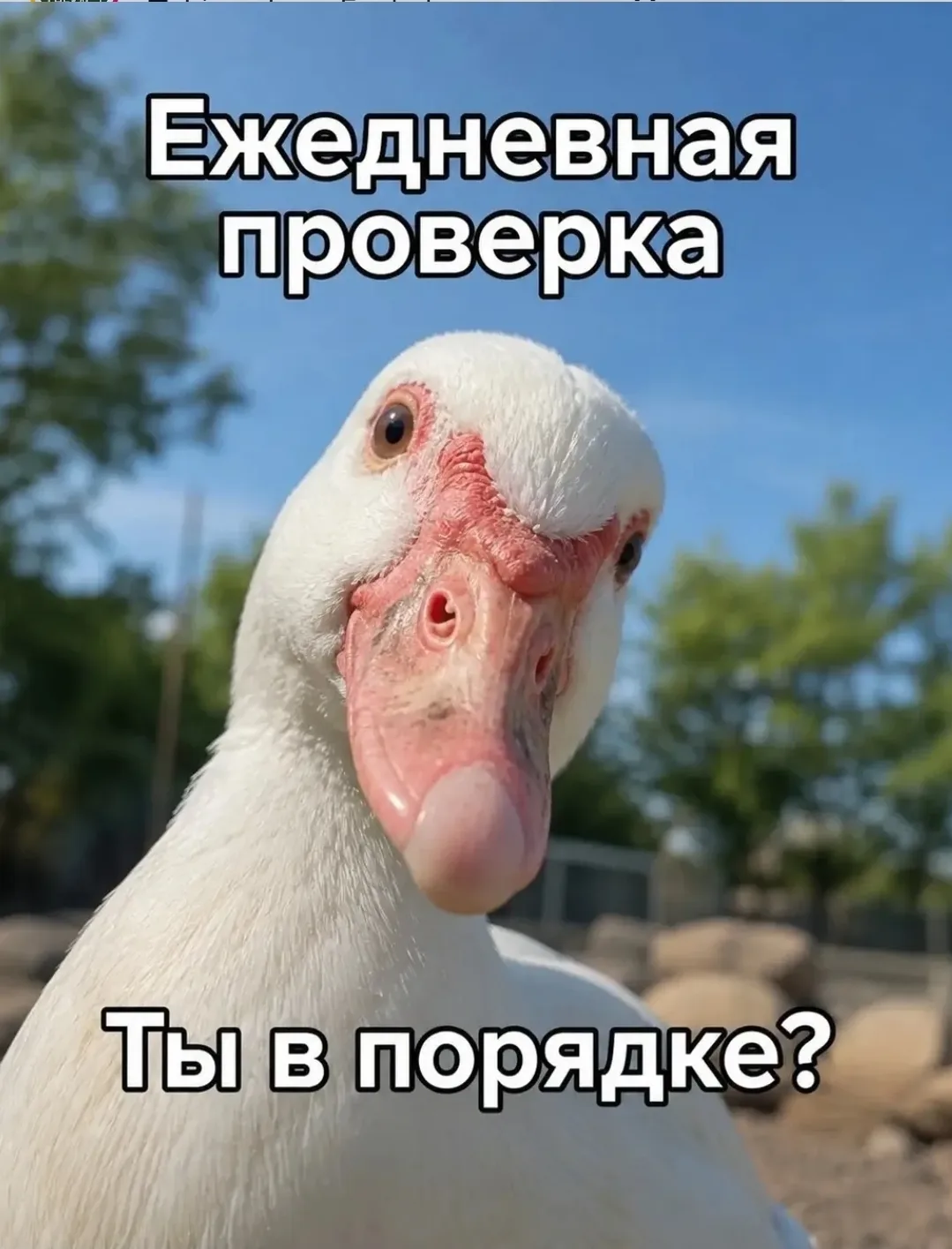 Ставьте ❤️, если ты с нами🫶