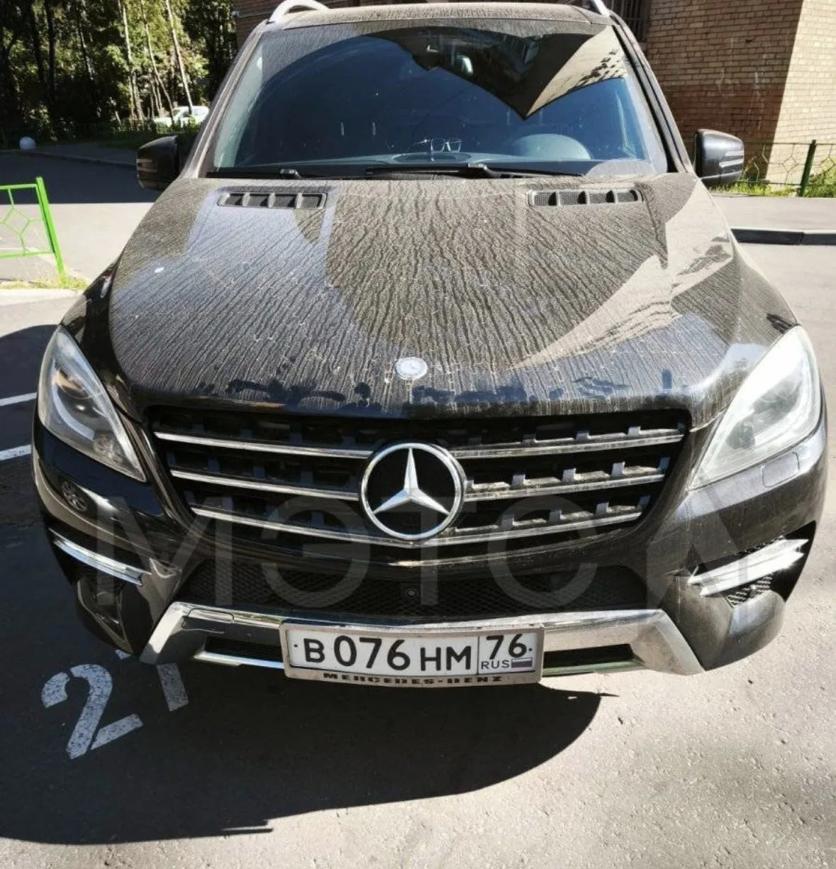 🔥 ЛОТ №2973