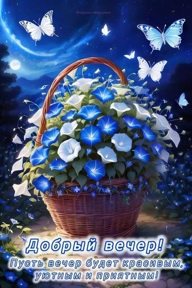 Доброго и уютного вечера!  ✨💐