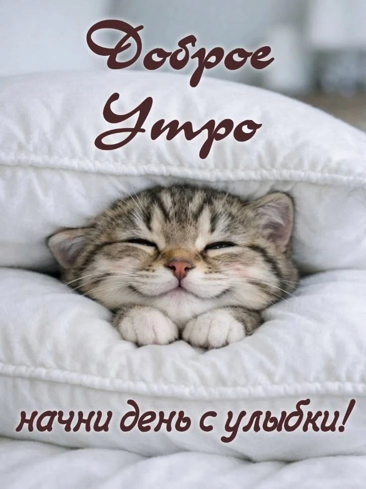 💛 Доброе утро!

Вторник — прекрасное время для новых идей, продуктивной работы и маленьких побед.

