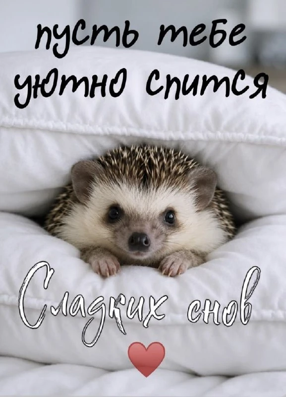 🌹Открытки для любимых