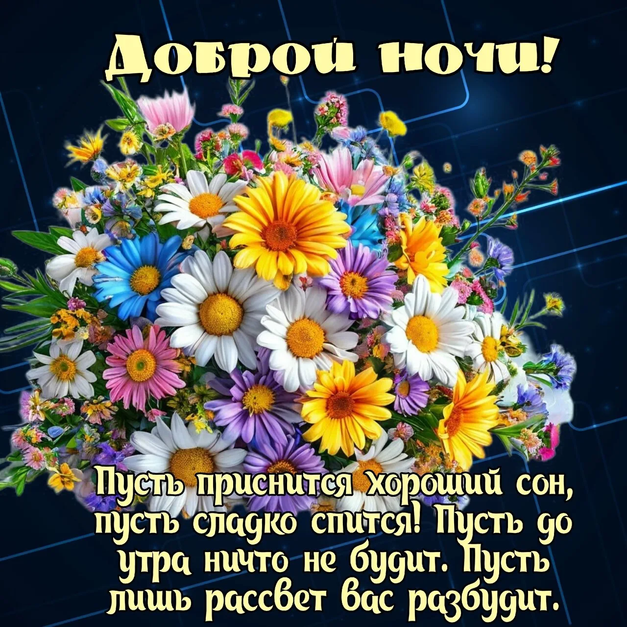 НАШИ КАНАЛЫ: