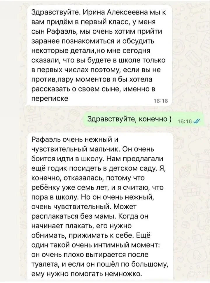 Мама семилетнего Рафаэля перед первым классом отправила учительнице длинный список прос...