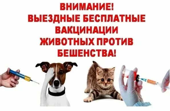 04 июня 2026г. (четверг) будет проводиться бесплатная вакцинация домашних животных от б...