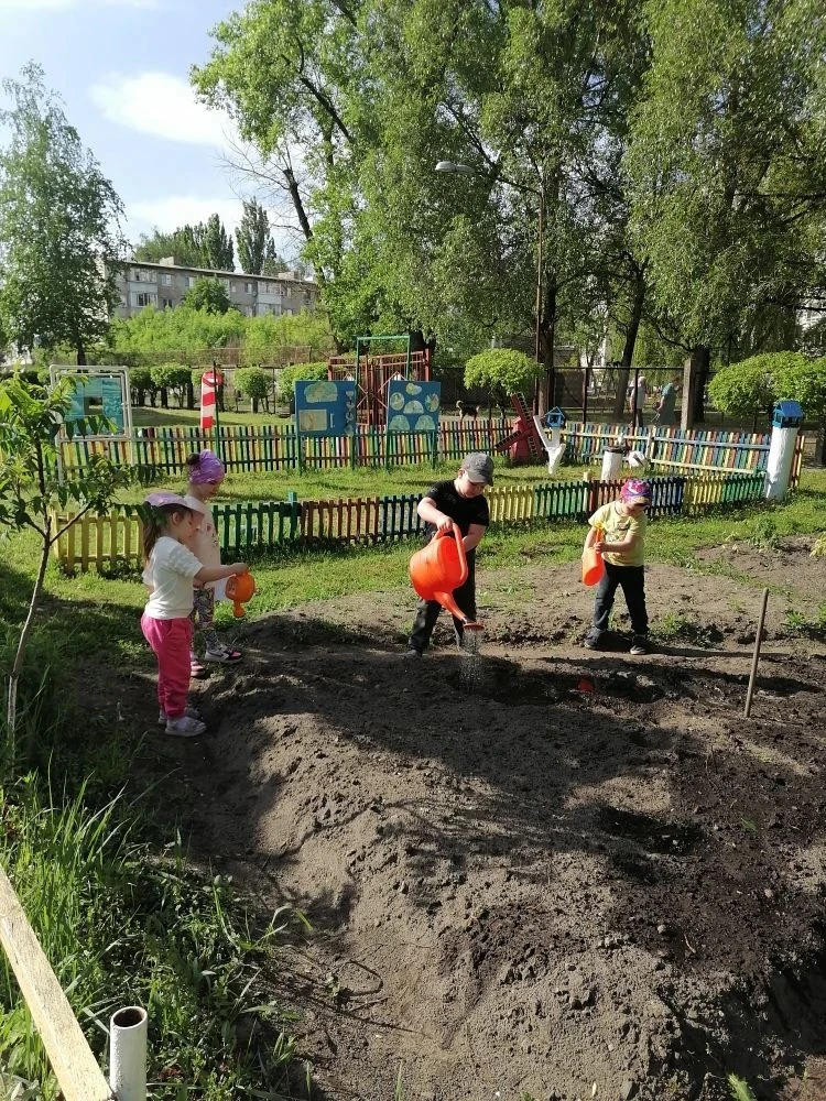 Посадка гороха: увлекательное приключение для средней группы        " Малинка"!                     